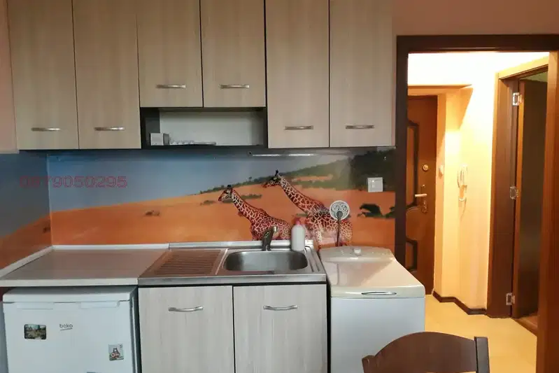 1-bedroom apartment in Sofia, Boyana