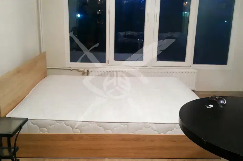 1-bedroom apartment in Sofia, Dianabad