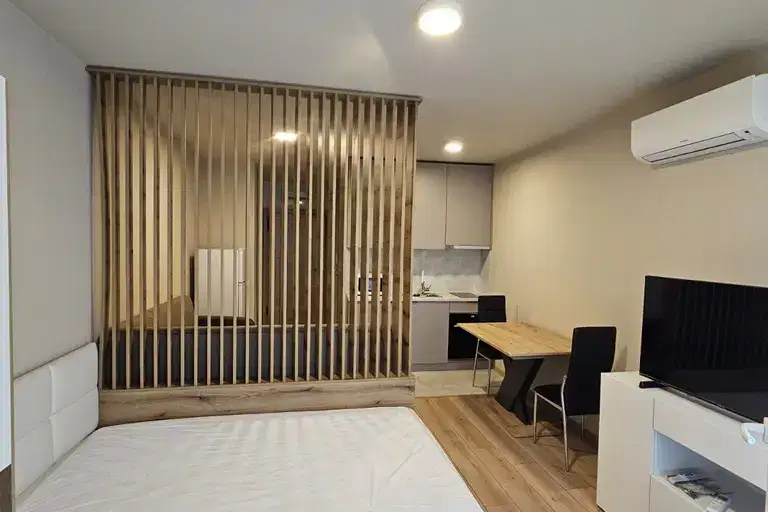 1-bedroom apartment in Sofia, Dianabad