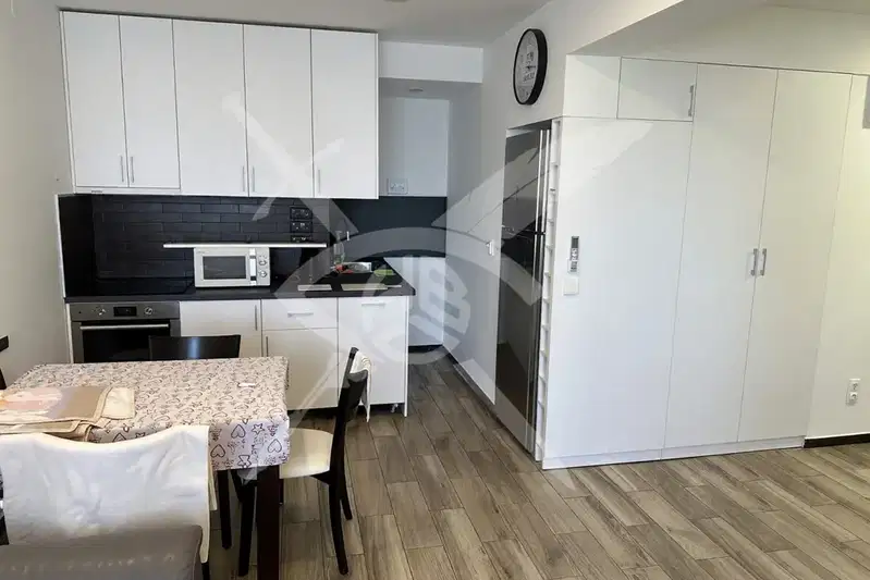 3-bedroom apartment in Sofia, Dianabad