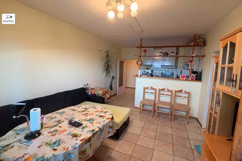 3-bedroom apartment in Sofia, Hadji Dimityr