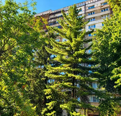 Снимка 5 — Тристаен апартамент с две тераси в Младост 1, София