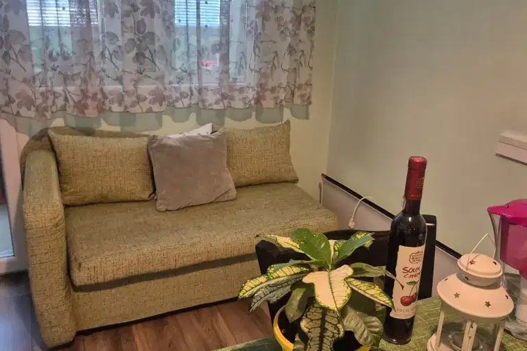 3-bedroom apartment in Sofia, Pavlovo