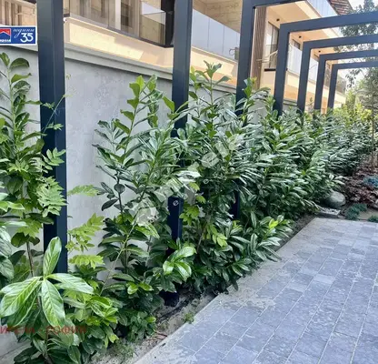 Photo 5 — 4-bedroom apartment in Sofia, Pavlovo