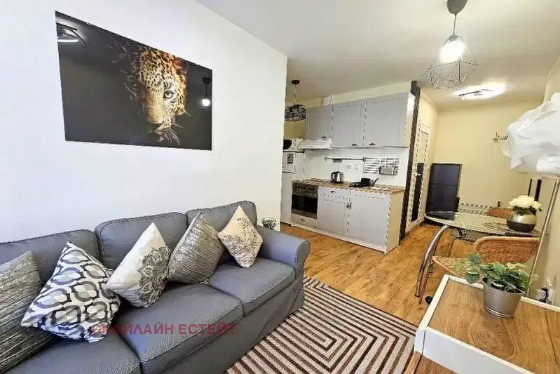 2-bedroom apartment in Sofia, Strelbishte
