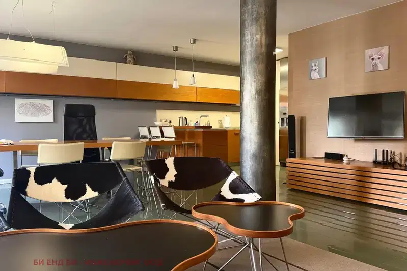 4-bedroom apartment in Sofia, Vitosha