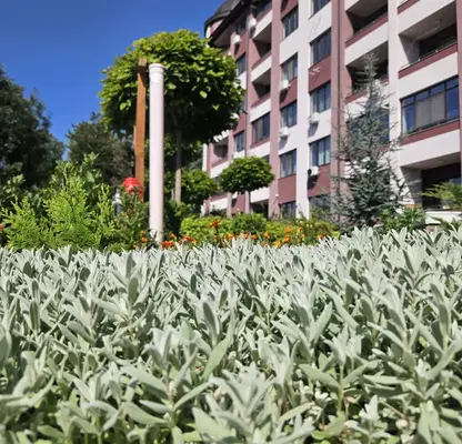 Photo 3 — Spacious 3-room apartment with pine forest view in Stara Zagora
