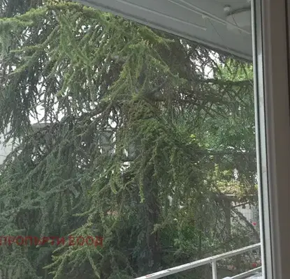 Photo 3 — 2-bedroom apartment in Varna, Sportna Zala