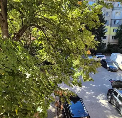 Photo 3 — Two-room apartment with south aspect in Cholakovtsi, Veliko Tarnovo