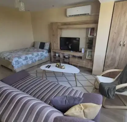 Снимка 4 — Студио апартамент с панорамна гледка в Съединение, Видин