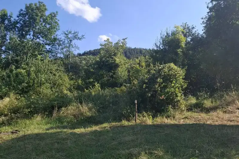 Plot in Lovech, Aprilci