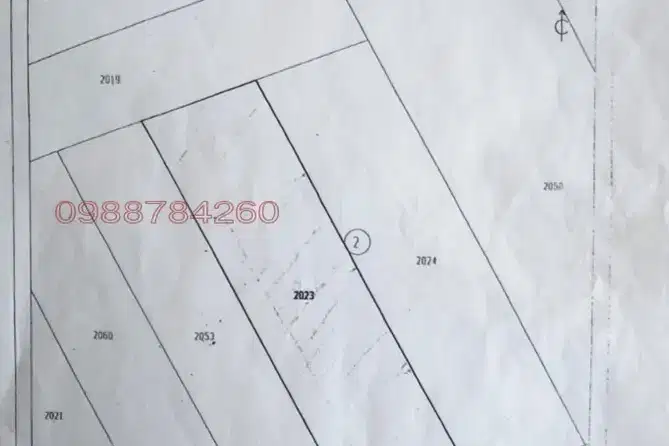 Plot in Bankya