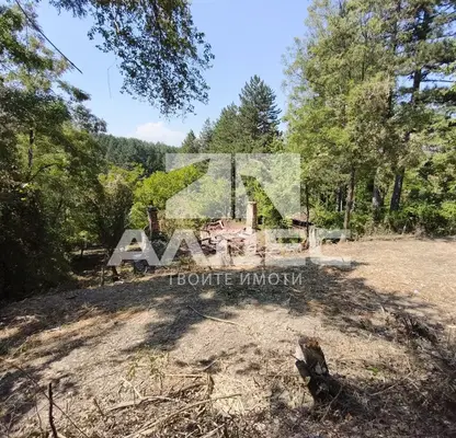 Photo 2 — Plot in Bankya