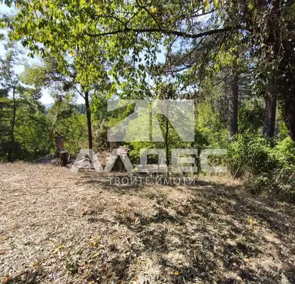 Photo 3 — Plot in Bankya