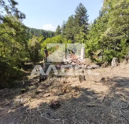 Photo 4 — Plot in Bankya