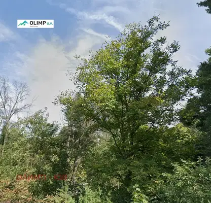 Photo 3 — Plot in Bankya
