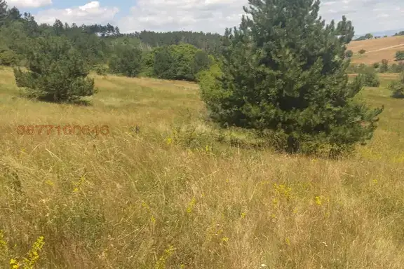 Plot in Bankya