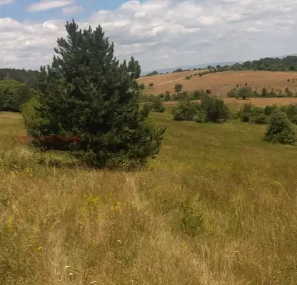 Photo 2 — Plot in Bankya