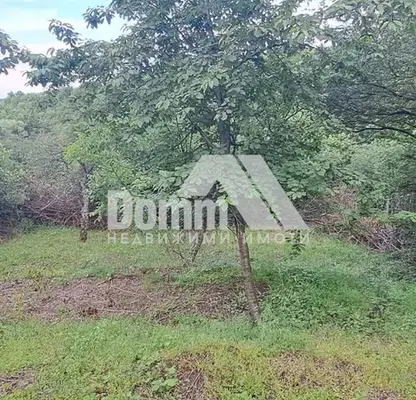 Photo 3 — Plot in Bankya
