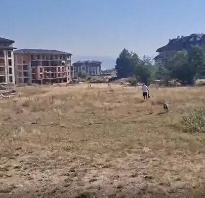 Photo 3 — Plot in Blagoevgrad, Bansko