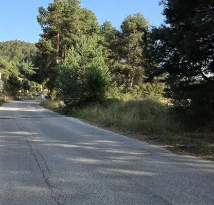 Снимка 5 — Парцел в Пазарджик, Батак