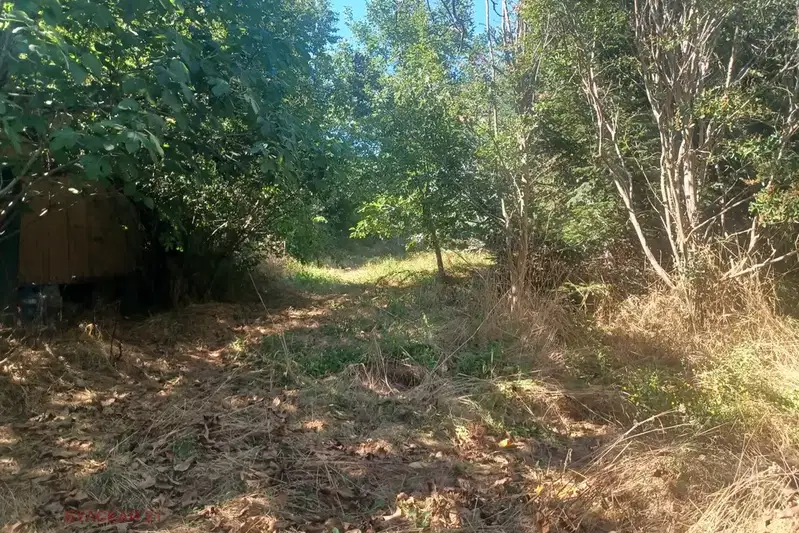 Парцел в Бургас, Царево