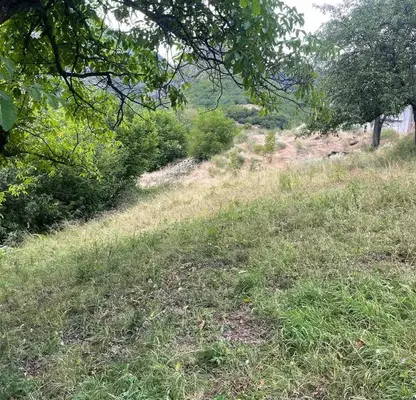 Photo 3 — Plot in Smolyan, Devin