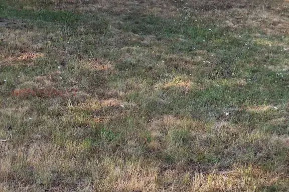 Plot in Gabrovo, Gorni Bakoici