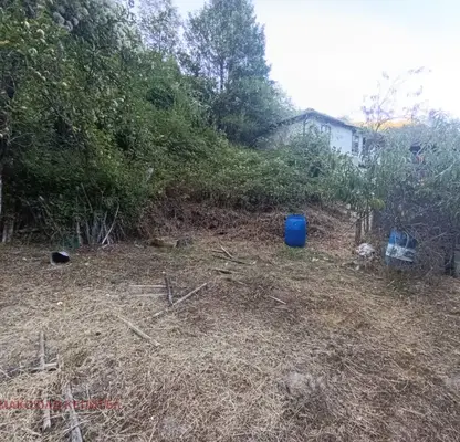 Photo 3 — Plot in Gabrovo, Lyutatsi