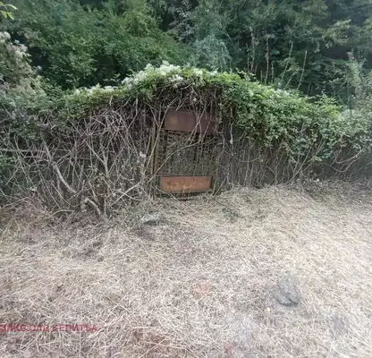 Photo 4 — Plot in Gabrovo, Lyutatsi