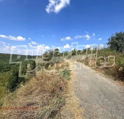 Photo 4 — Plot in Dobrich, Kavarna