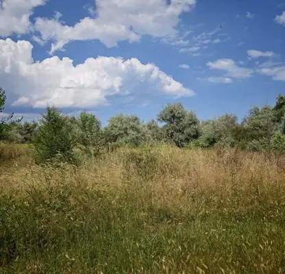 Photo 2 — Plot in Burgas, Slynchev Bryag