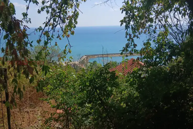 Plot in Zlatni Pyasyci