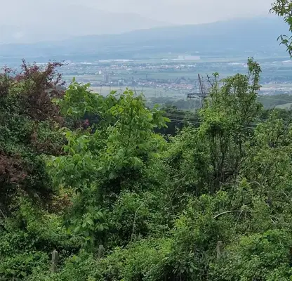 Снимка 3 — Парцел в София, Костинброд
