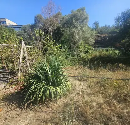 Photo 5 — Plot in Kyrdjali, Vyzrojdenci