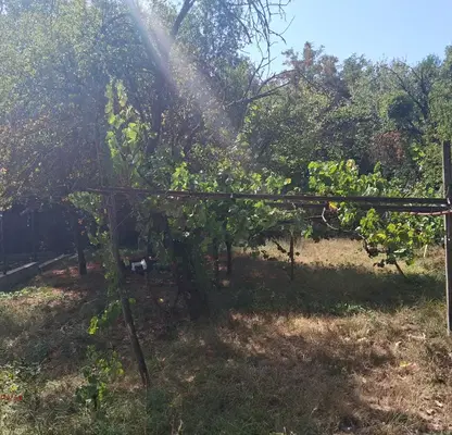 Photo 3 — Plot in Kyustendil, Vyrtashevo
