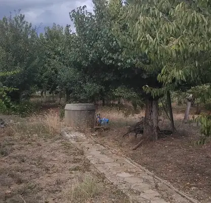Photo 4 — Plot in Kyustendil, Zapad