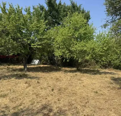 Photo 2 — Plot in Novi Iskyr
