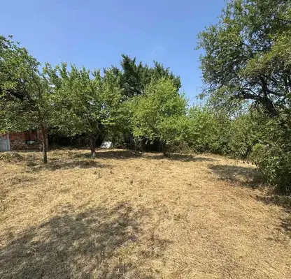 Photo 5 — Plot in Novi Iskyr