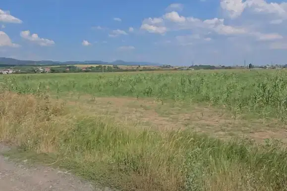 Plot in Novi Iskyr