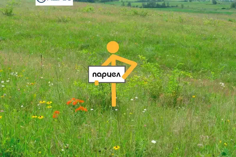 Plot in Pleven, Drujba 1