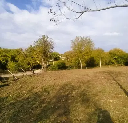 Снимка 3 — Парцел в Търговище, Попово