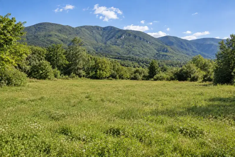 Plot in Sofia, Pravec
