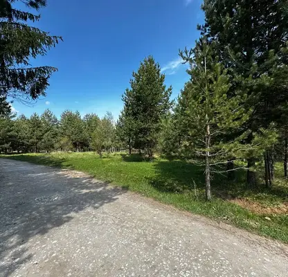 Photo 2 — Plot in Blagoevgrad, Razlog