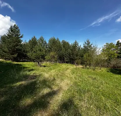 Photo 3 — Plot in Blagoevgrad, Razlog