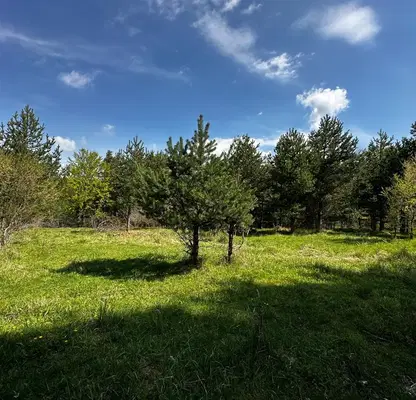 Photo 5 — Plot in Blagoevgrad, Razlog