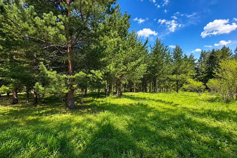 Plot in Blagoevgrad, Razlog