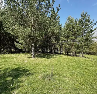 Photo 3 — Plot in Blagoevgrad, Razlog