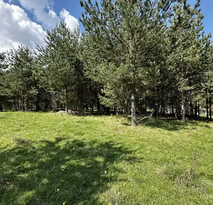 Photo 4 — Plot in Blagoevgrad, Razlog