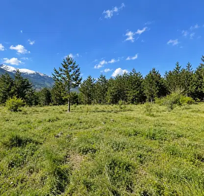 Photo 2 — Plot in Blagoevgrad, Razlog